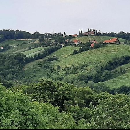 Obstbau Und Gaestezimmer Stani Kitzeck im Sausal Exterior foto