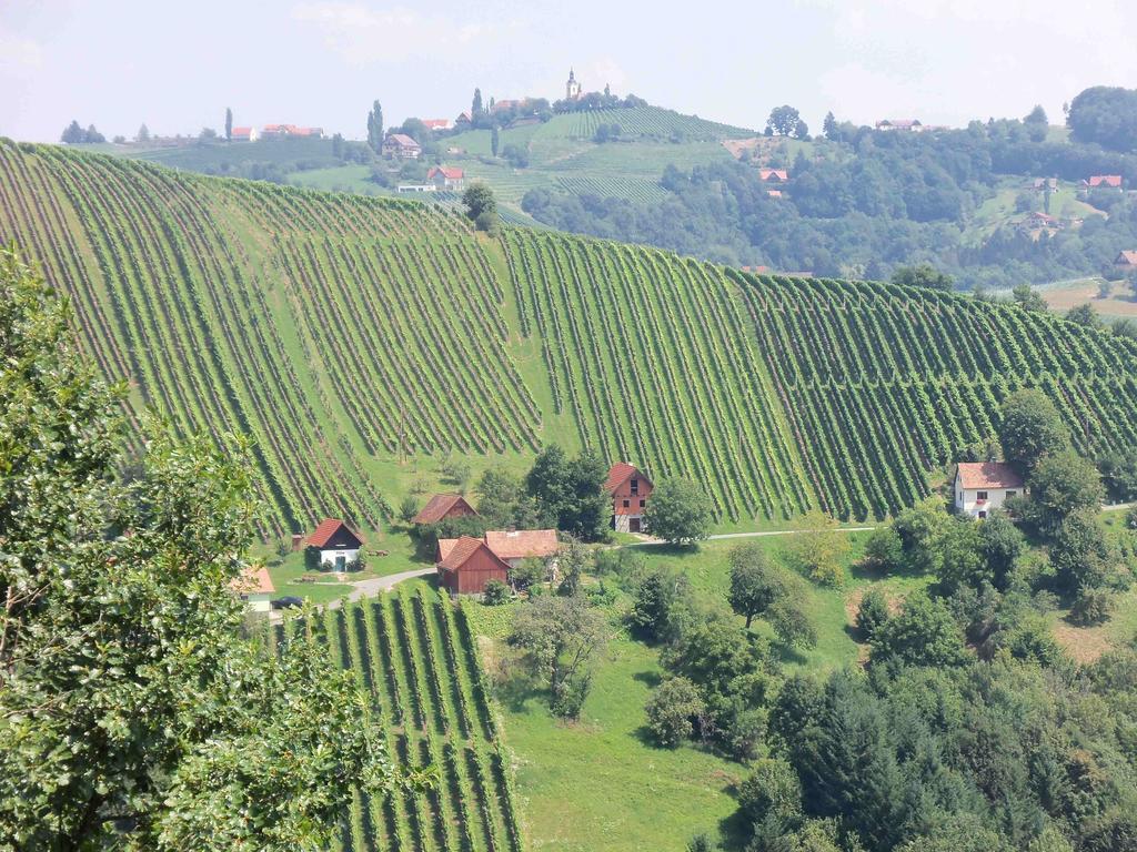 Obstbau Und Gaestezimmer Stani Kitzeck im Sausal Exterior foto